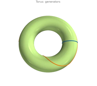 Shortening non-contractible loops