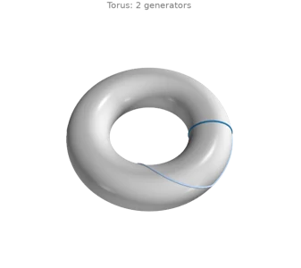 Homology generators: handles and tunnels