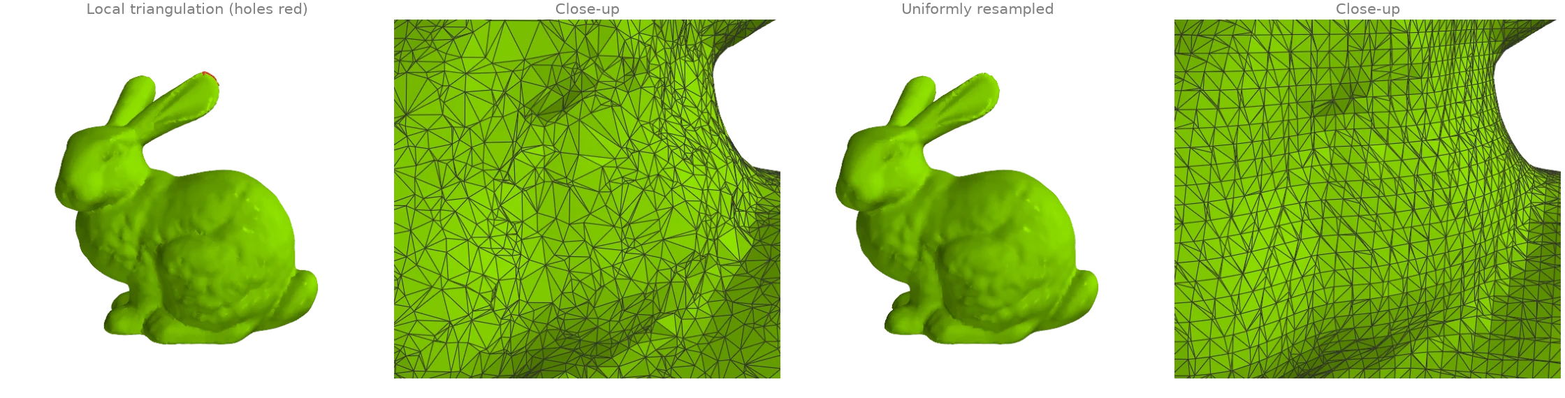 Local triangulation and uniform resampling
